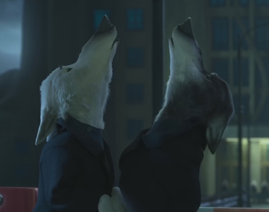 《為什麼狼群會嚎叫？》別笑牠們狼嚎傻～這一切都是同胞愛♥