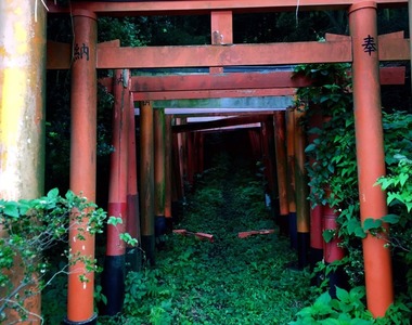 深山秘境《隱藏在獸徑的紅色鳥居》根本是奇幻動畫裡的場景