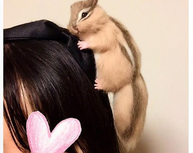 激逼真《羊毛氈動物髮箍》看你是想要貓咪還是鳥兒甚至松鼠趴在頭上都可以唷