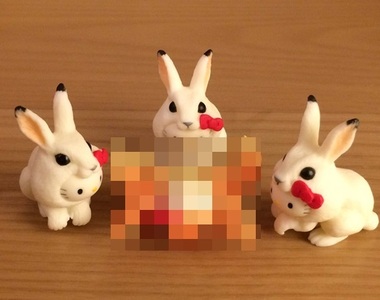 《凱蒂貓杯緣子隱藏版好噁心》唯獨這種動物看起來很詭異www