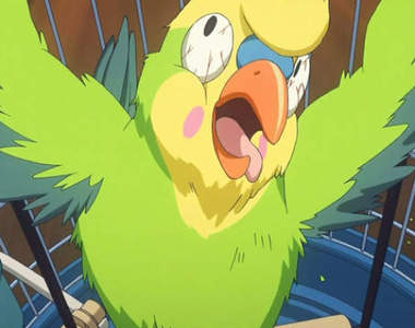 《詭異寵物鳥名字》飼主命名的時候究竟在想什麼……