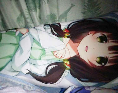 攸關尊嚴的《色色抱枕搶客大戰》取消訂單讓繪師大崩潰……