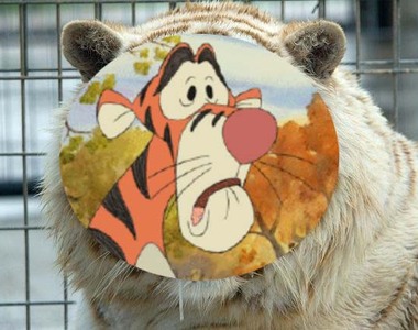 《世界最醜老虎》誕生背後的真相卻很哀傷......