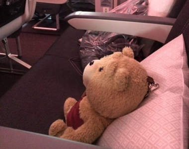 《空姐的神對應》讓熊麻吉玩偶坐在空位上卻發生意想不到的結果！？