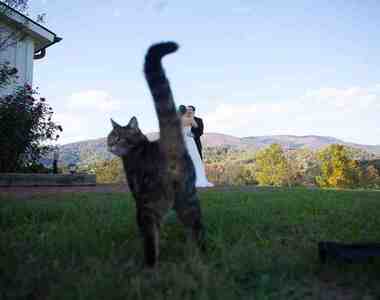 《動物亂入照》唉唷抱歉不知道你們在拍照啦w