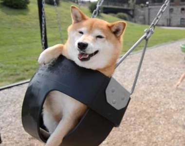《看了N遍的趣味動圖》太好笑讓人捨不得離開壓www