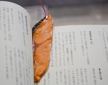 吃貨不能用的《食物書籤》那烤魚也太逼真了～我餓了啊～