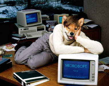 《柴犬惡搞PS照》違和感快出來工作啊ww