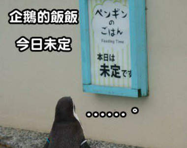 推特《莫名的哀愁感》日常生活中那些淡淡哀傷的瞬間