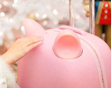 世界上最可愛的行李箱 Fravel《貓耳行李箱》摸摸行李箱耳朵還會動啊啊～❤