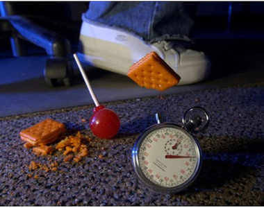 《3秒定律》據說食物掉地上3秒內撿起來是乾淨的？