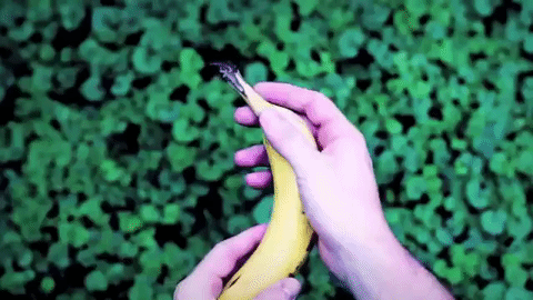 圖片3 圖片3