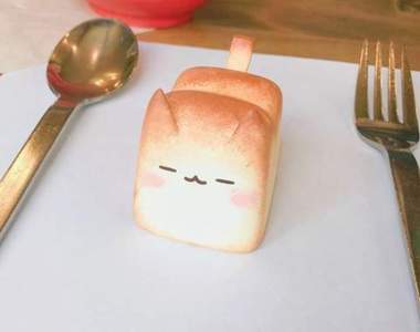 手作《吐司貓玩具》不用怕過期急著吃掉真是太好惹(ノ∀`*)