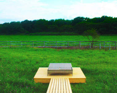 根本野宿《沒有牆壁天花板的飯店》是讓蚊子吃到飽的概念嗎ww（淚笑）