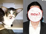 《動物vs明星 相似顏》這謎之相似度究竟是誰的惡作劇 《動物vs明星 相似顏》這謎之相似度究竟是誰的惡作劇