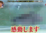 北海道人《第一次看到蟑螂超感動》往南走可以過著感動的每一天…… 北海道人《第一次看到蟑螂超感動》往南走可以過著感動的每一天……