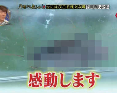 北海道人《第一次看到蟑螂超感動》往南走可以過著感動的每一天……