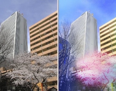 推特話題《把普通風景照片變成動畫風背景》改個色調就超夢幻(〃∀〃)