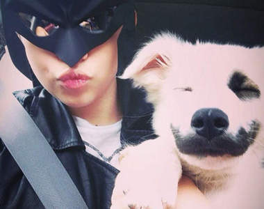 好喜感《小丑狗》Why so serious～(́◕ܫ◕`)