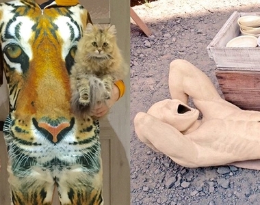 《無論如何很引人注目的商品》可能不會買但是無法不去看ww