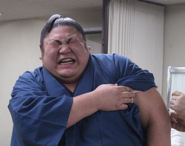 媽媽我怕怕《相撲力士打針表情集》壯漢也難敵小針頭……