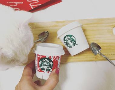 《日本登場韓國限定的星巴克迷你布丁》推出聖誕節限定款 ❤