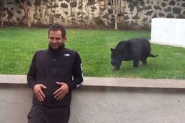 《動物園猛獸偷襲》要是沒隔著玻璃這些人就真的掰掰惹......（抖）