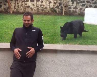 《動物園猛獸偷襲》要是沒隔著玻璃這些人就真的掰掰惹......（抖）