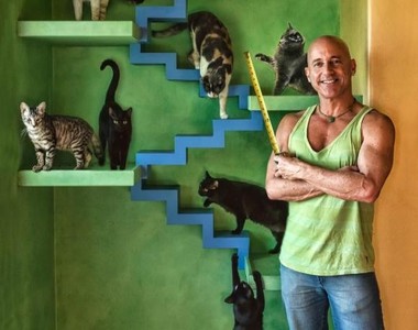 這位貓奴救援收養了22隻貓　花了20年將住家改造成貓咪樂園