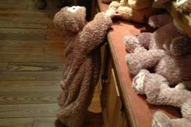 媽媽看過來《DIY達菲熊寶寶裝》達菲熊在迪士尼四處趴趴走耶