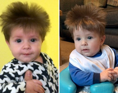 可愛的《Q毛寶寶》他家完全不用擔心禿頭問題真是幸福啊～