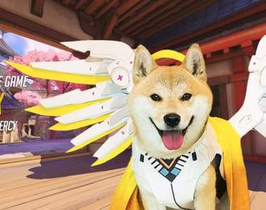 《鬥陣特攻犬貓化》變成狗狗貓貓也要捍衛自己的信念!