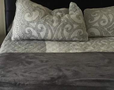 連假輕鬆版《大家來找碴》能從床上找到狗狗嗎？