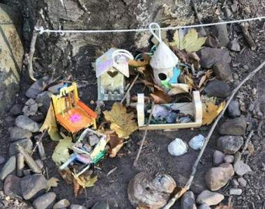 帶狗散步發現《樹下的迷你村莊》莫非這裡曾有小精靈居住過？