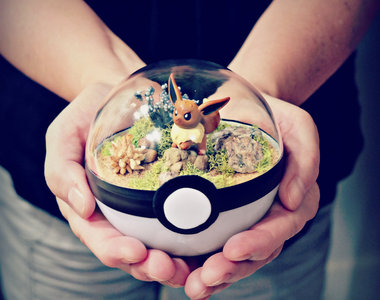 精靈寶可夢《寶貝球藝術》寶貝球裡面的世界真的太美了啊