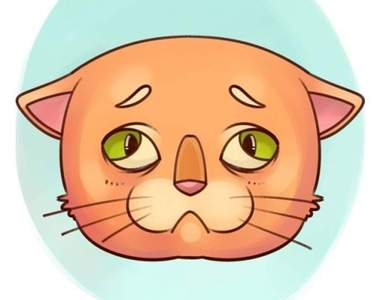 《當寵物有這些情況時請盡速就醫》飼主的日常觀察很重要唷！