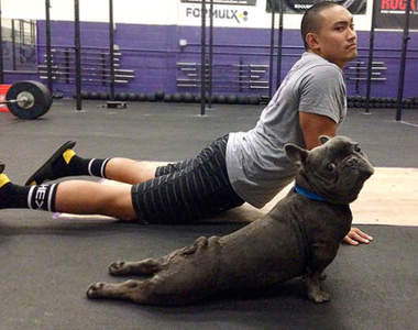 筋骨架軟Q《動物瑜珈大師》到底是誰在模仿誰呢？