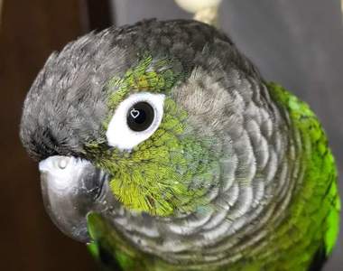 《讓大叔瘋買女性雜誌的理由》雜誌附錄的自拍神器竟然也被用在這些地方ww