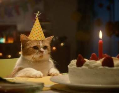 《日本人最多的生日》意外在＂那個節日＂出生的人竟然這麼多？