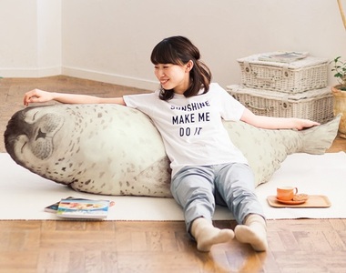 《海豹收納袋》跟你們介紹一下我的肥嘟嘟新同居人～♥