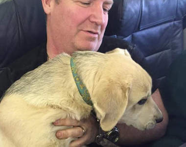 《加拿大野火肆虐》航空公司破例讓寵物們一起搭飛機~揪感心♥