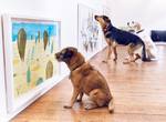 《為狗狗策畫的藝術展》竟然有零食以外的東西讓狗狗看得如此入迷? 《為狗狗策畫的藝術展》竟然有零食以外的東西讓狗狗看得如此入迷?