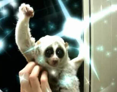 《網友惡搞BGM》果然加了背景音樂整個質感都不同惹www