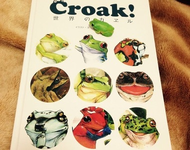 繪師自製《青蛙圖鑑Croak!》對青蛙滿滿的愛都收集在這一冊裡♥