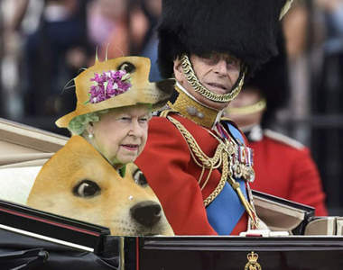 《英國女王綠幕裝》對不起但這真的太好PS了（笑淚）