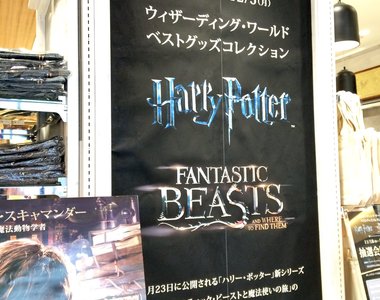魔法世界再度襲來《新宿哈利波特專賣店》期間限定