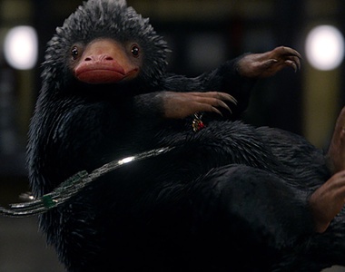 插畫家 Anastasia 筆下《怪獸與牠們的產地》那些可愛的奇獸 