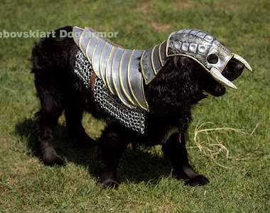 略困擾的《狗狗盔甲》汪：就算不給我穿這個我也會保護你啊...(´●_`U)