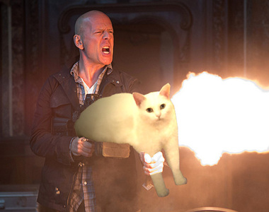 《融化的半身白貓》意外引發一連串惡搞PS大賽ww