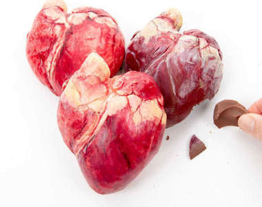 《逼真巧克力雕塑藝術》視覺與味覺的衝突組合